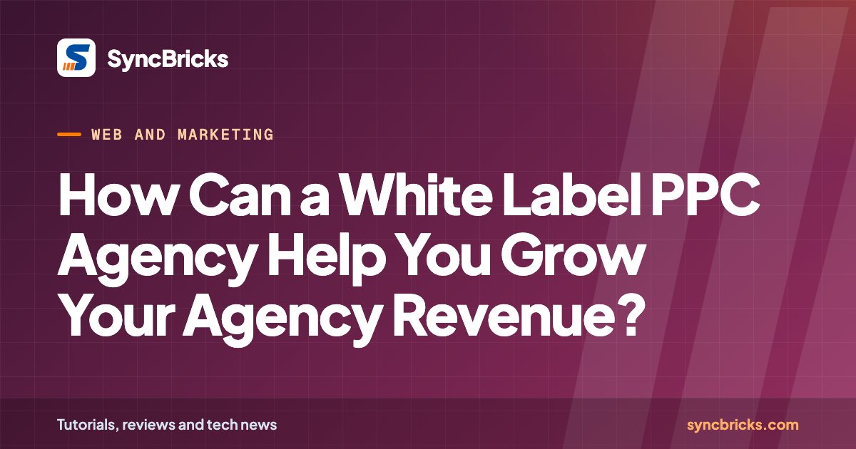 How Can a White Label PPC Agency Help You Grow Your Agency Revenue?: SyncBricks cover