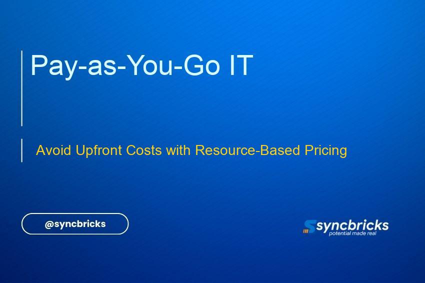 Discover how resource-based pricing models allow users to pay only for the resources they use, avoiding large upfront investments in hardware and software.